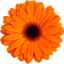 Kremleva.com